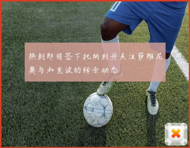 热刺即将签下托纳利并关注萨维尼奥与加克波的转会动态