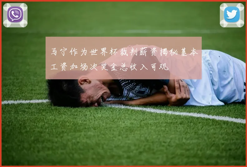 马宁作为世界杯裁判薪资揭秘基本工资加场次奖金总收入可观